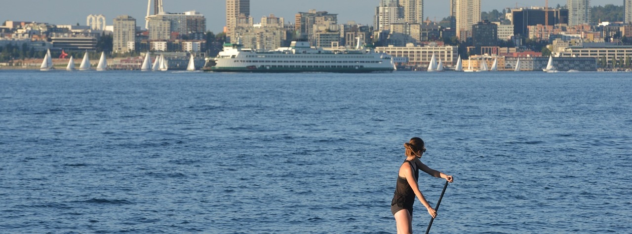 paddleboard paddle board