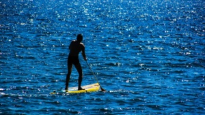 paddle board