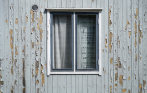 windows